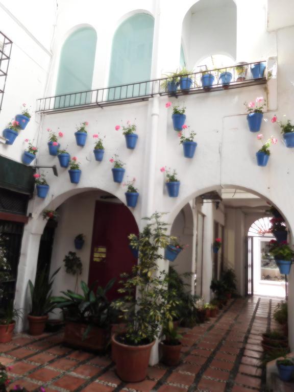 Casa Holandaluzas Marbella Near Beach, With Salt Water Pool And Private Parking Zewnętrze zdjęcie